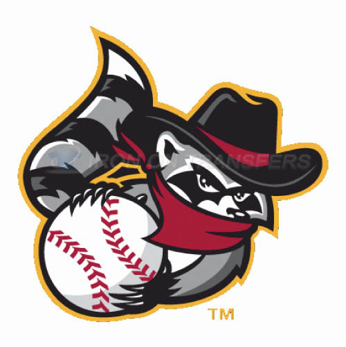 Quad Cities River Bandits Iron-on Stickers (Heat Transfers)NO.8121